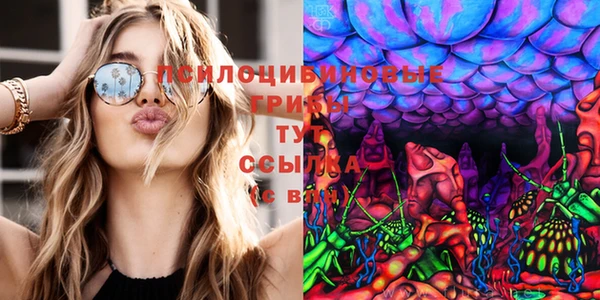 MESCALINE Заволжье