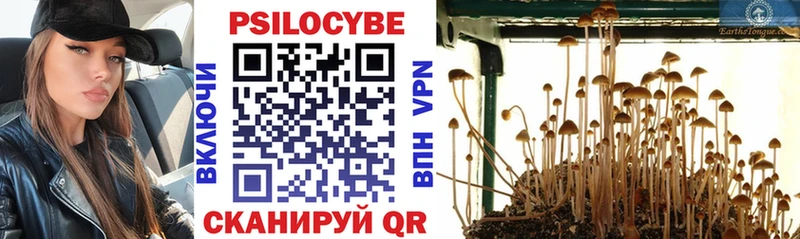 Псилоцибиновые грибы мицелий Купить где Донецк